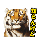 大阪神戸の野球好き虎ファン向け4（個別スタンプ：36）