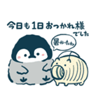 ペンちゃんの昭和レトロな夏（個別スタンプ：13）