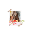 動くねこシリーズ（個別スタンプ：3）
