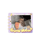 動くねこシリーズ（個別スタンプ：8）