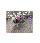 てっしゃんちゅたんぷ！（個別スタンプ：8）