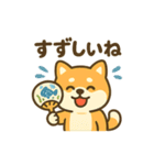 柴犬くんの夏休みスタンプ（個別スタンプ：1）