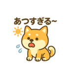 柴犬くんの夏休みスタンプ（個別スタンプ：3）