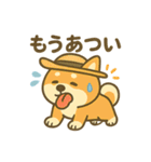 柴犬くんの夏休みスタンプ（個別スタンプ：4）