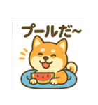 柴犬くんの夏休みスタンプ（個別スタンプ：6）