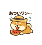 柴犬くんの夏休みスタンプ（個別スタンプ：7）