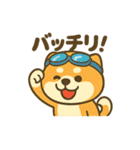 柴犬くんの夏休みスタンプ（個別スタンプ：8）