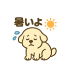 柴犬くんの夏休みスタンプ（個別スタンプ：10）