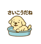 柴犬くんの夏休みスタンプ（個別スタンプ：12）