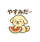 柴犬くんの夏休みスタンプ（個別スタンプ：13）