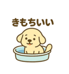 柴犬くんの夏休みスタンプ（個別スタンプ：15）