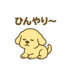 柴犬くんの夏休みスタンプ（個別スタンプ：16）