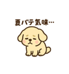 柴犬くんの夏休みスタンプ（個別スタンプ：17）