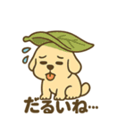 柴犬くんの夏休みスタンプ（個別スタンプ：18）