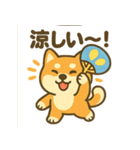 柴犬くんの夏休みスタンプ（個別スタンプ：19）