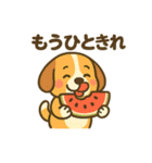 柴犬くんの夏休みスタンプ（個別スタンプ：20）