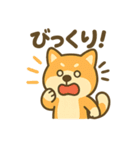 柴犬くんの夏休みスタンプ（個別スタンプ：23）