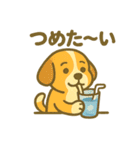 柴犬くんの夏休みスタンプ（個別スタンプ：24）