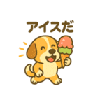 柴犬くんの夏休みスタンプ（個別スタンプ：26）