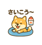 柴犬くんの夏休みスタンプ（個別スタンプ：31）