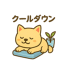 柴犬くんの夏休みスタンプ（個別スタンプ：33）