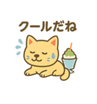 柴犬くんの夏休みスタンプ（個別スタンプ：36）