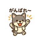柴犬くんの夏休みスタンプ（個別スタンプ：40）