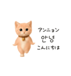 にゃんこハングル♡韓国語でおしゃべり（個別スタンプ：1）