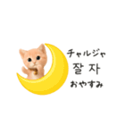にゃんこハングル♡韓国語でおしゃべり（個別スタンプ：12）