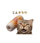 動く！猫のダジャレスタンプ（個別スタンプ：2）