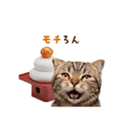 動く！猫のダジャレスタンプ（個別スタンプ：10）