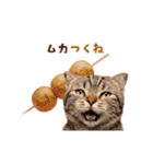 動く！猫のダジャレスタンプ（個別スタンプ：19）