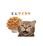 動く！猫のダジャレスタンプ（個別スタンプ：22）