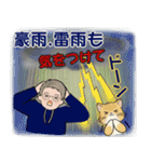 男性に使って欲しいスタンプ(夏,天気,災害)（個別スタンプ：31）