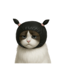 ビニール袋で束ねられた猫 （NT）（個別スタンプ：2）