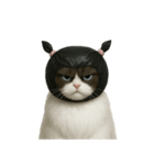 ビニール袋で束ねられた猫 （NT）（個別スタンプ：5）