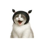 ビニール袋で束ねられた猫 （NT）（個別スタンプ：6）