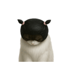 ビニール袋で束ねられた猫 （NT）（個別スタンプ：11）