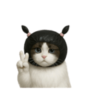 ビニール袋で束ねられた猫 （NT）（個別スタンプ：13）