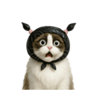ビニール袋で束ねられた猫 （NT）（個別スタンプ：14）