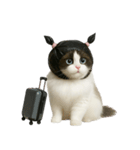 ビニール袋で束ねられた猫 （NT）（個別スタンプ：16）