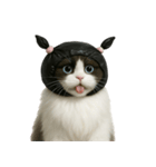 ビニール袋で束ねられた猫 （NT）（個別スタンプ：23）