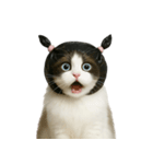 ビニール袋で束ねられた猫 （NT）（個別スタンプ：35）