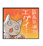 暑い暑い言ってる猫のスタンプ（個別スタンプ：2）