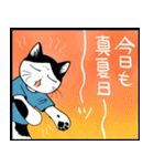 暑い暑い言ってる猫のスタンプ（個別スタンプ：8）