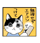 暑い暑い言ってる猫のスタンプ（個別スタンプ：17）