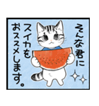 暑い暑い言ってる猫のスタンプ（個別スタンプ：18）