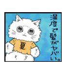 暑い暑い言ってる猫のスタンプ（個別スタンプ：19）