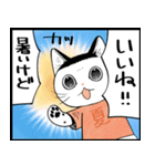 暑い暑い言ってる猫のスタンプ（個別スタンプ：22）