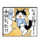 暑い暑い言ってる猫のスタンプ（個別スタンプ：24）
